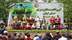 نشا مکانیزه در گیلان